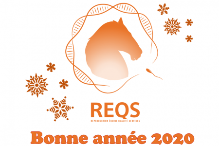 Très bonne année 2020 !