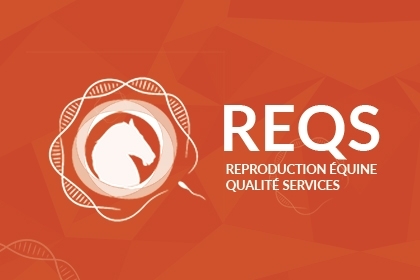 Lancement du site Internet du label REQS