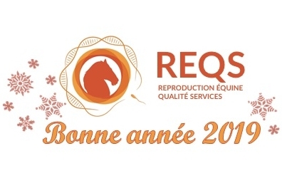 Meilleurs voeux 2019 !